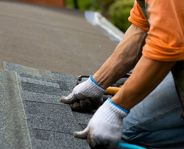 Best Roof Maintenance Services  in Luverne, MN